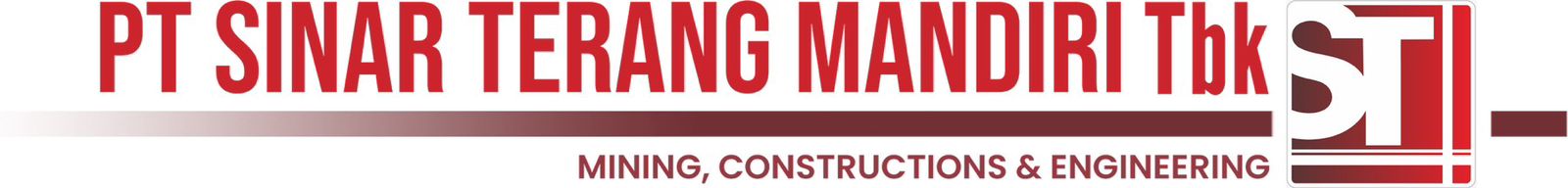 Logo STM